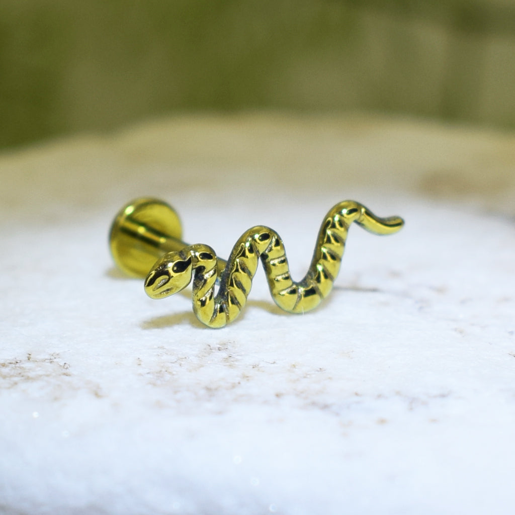 PIERCING LABRET SERPIENTE 1.0