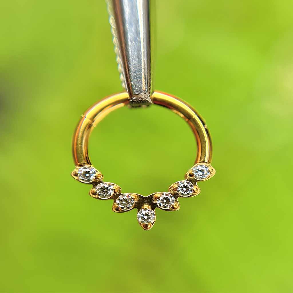 Piercing Aro Puntas Con Circones