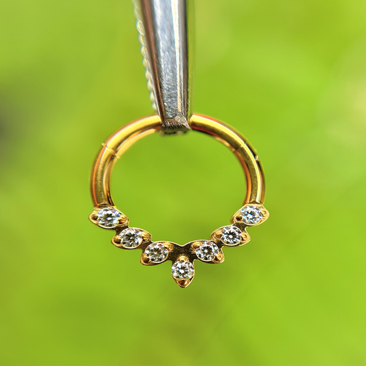 Piercing Aro Puntas Con Circones